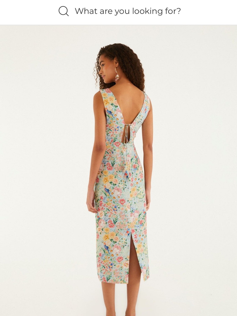 FARM Rio Pastel Floral Midi Dress with Butterfly Appliqué - Multi - Picture 3 of 3